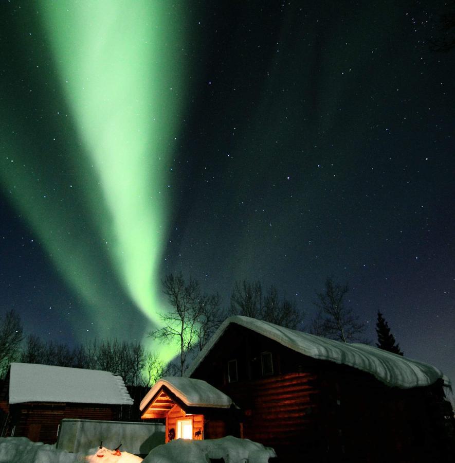 Wildmoon Home Fairbanks Eksteriør billede